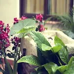 I Am La And Bed and Breakfast Benalmádena
