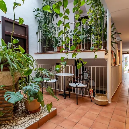 Bed & Breakfast I Am La And Benalmadena