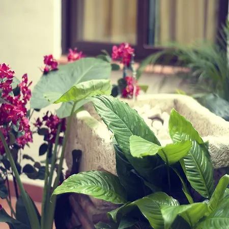 I Am La And Panzió Benalmádena